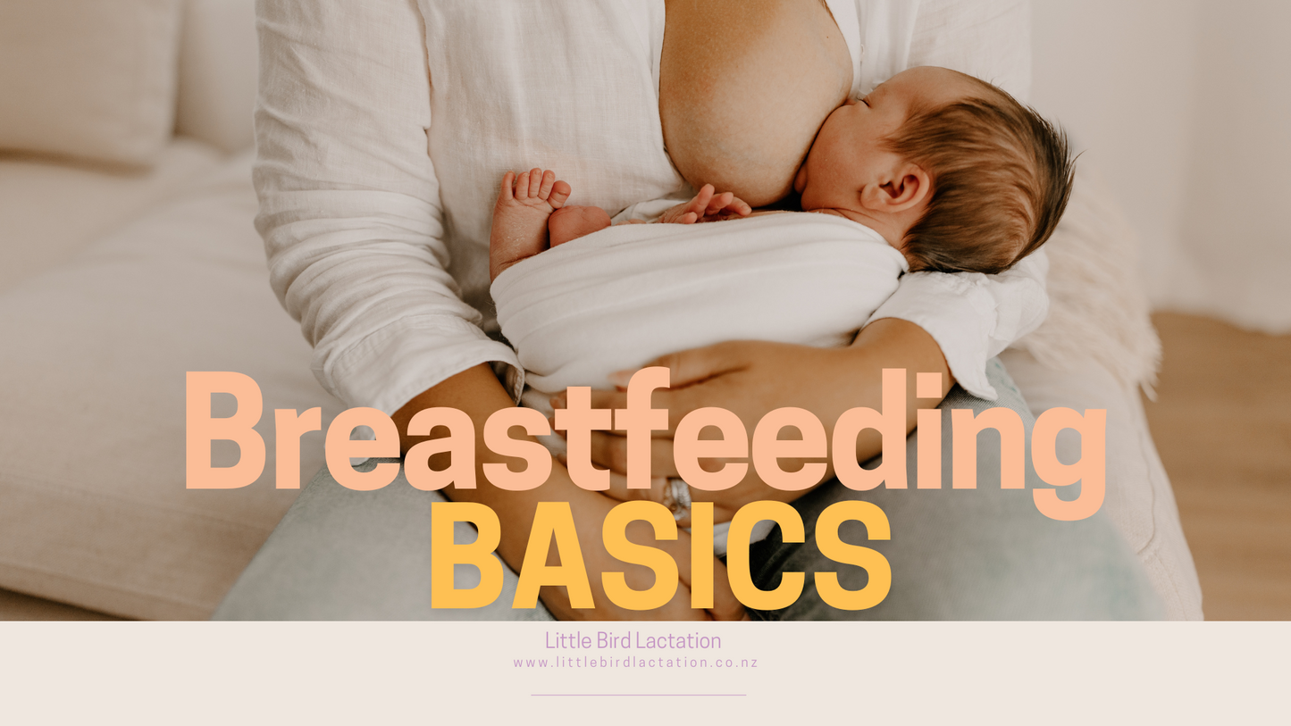 Breastfeeding Basics: The Ultimate Prep Class for Expecting Parents