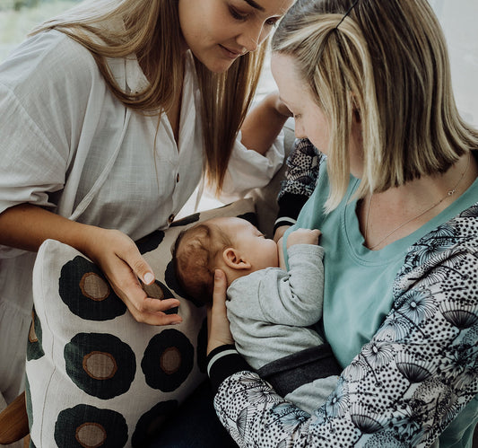 Breastfeeding lactation consultation